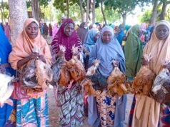 Jigawa Govt’ Empowers Pregnant, Lactating Women with Livestock, Seeds to Combat Malnutrition