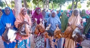 Jigawa Govt’ Empowers Pregnant, Lactating Women with Livestock, Seeds to Combat Malnutrition