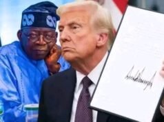 Trump’s Alleged Christian Genocide in Nigeria: Religious Segregation and Peace Disruption