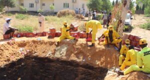 Jigawa moves to protect public health, destroys 5,520 cartons of expired Noodles