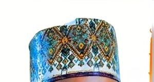 Badaru Abubakar Denies Defection Rumours, Reaffirms Loyalty to APC