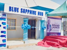 Jigawa Steps Into Digital Future with Launch of Blue Sapphire Hub